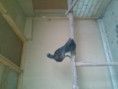 /album/fotogaleria/a20120925-164630-jpg/