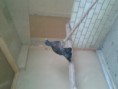 /album/fotogaleria/a20120925-164656-jpg/