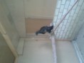 /album/fotogaleria/a20120925-164711-jpg/