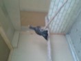 /album/fotogaleria/a20120925-164727-jpg/
