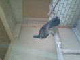 /album/fotogaleria/a20120925-164845-jpg/