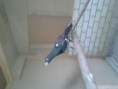 /album/fotogaleria/a20120925-164902-jpg/