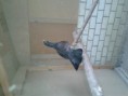 /album/fotogaleria/a20120925-164907-jpg/